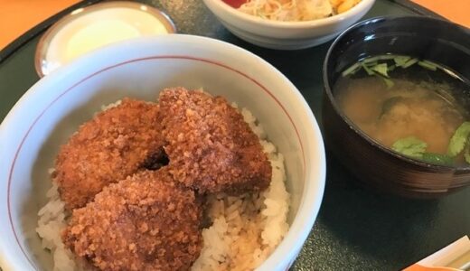 【秘密のケンミンSHOW極】茶色グルメの王者 ソースカツ丼（群馬県）2023/6/29 放送