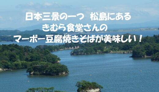 【秘密のケンミンSHOW極】きむら食堂のマーボー豆腐焼きそば（宮城県） 2023/6/15放送