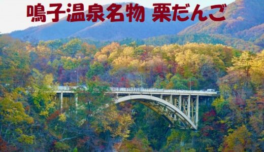 【秘密のケンミンSHOW極】鳴子温泉のホカホカ栗だんご（宮城県）2023/11/9放送